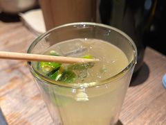 -毛辣果·酸(OHA复兴西路店)