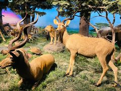 -国家自然博物馆