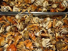 -阆辣荟餐饮(老味道8年·古城店)