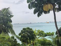 -巴拉湾海滩