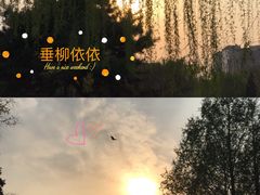 -元大都城垣遗址公园