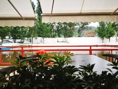 -向外鱼乐·土菜·虹鳟鱼