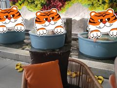 -青水瓦台汤泉(未央店)