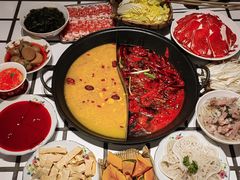 -朱光玉火锅馆(正弘城店)