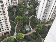 -新湖明珠城