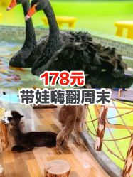 -七巧国萌宠乐园(龙湖天街店)