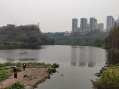 -重庆彩云湖湿地公园