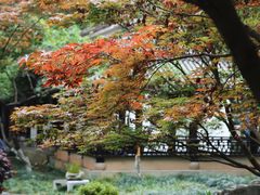 -墨池公园