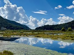 -腾冲北海湿地