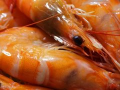 特色大对虾-阿杰臻选海鲜饭店(普陀山店)