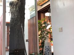 -铃木食堂(帽儿胡同店)