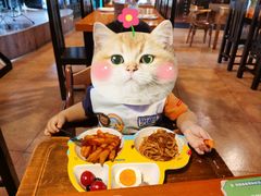 -布拉格餐厅· 中欧捷克菜(全国首店)