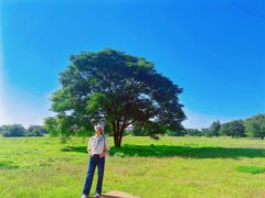 -汉长安城未央宫国家考古遗址公园