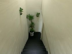 -苗方清颜专业祛痘·皮肤管理