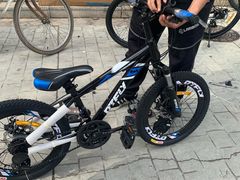 -道路口单车爱瓦士dahon大行