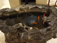 -民族饭店-四季餐厅