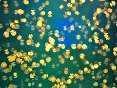 -福州罗源湾海洋世界旅游区