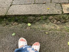 -普陀山风景区-佛顶山