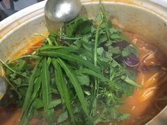 酸汤火锅-黔府豆米火锅野菜馆(南马店)