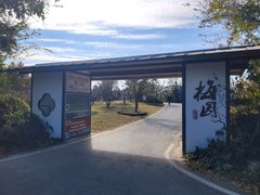 -上海长兴岛郊野公园