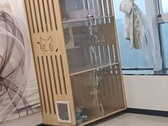 -共舞时光猫咖·狗咖(新街口店)