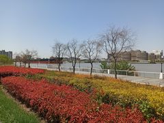 -上海山野camping·户外天幕烧烤·团建拓展营地
