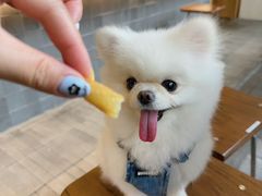-WOKKA by艮上(中海环宇荟店)