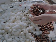 -李村大集