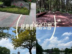 -桃花岛公园
