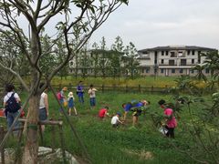 田园东方-田园东方蜜桃村的田野营地