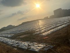 -光明小镇欢乐田园