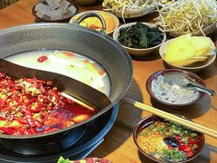 -阳阳老火锅(小南门店)