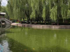 -团结湖公园