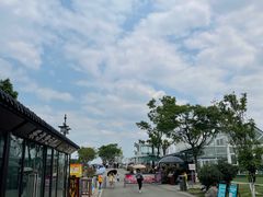 -空港花田景区