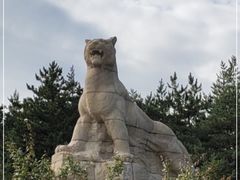 -帽儿山国家森林公园