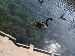 -水磨沟公园