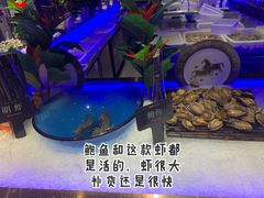 -加餐海鲜自助(宝龙一城店)