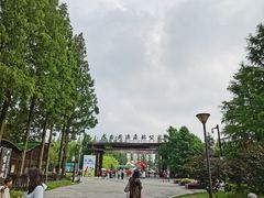 -黄海国家森林公园