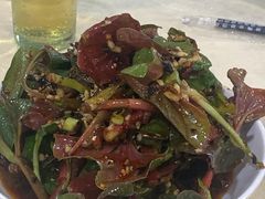 -东吴霸王兔(松青路店)