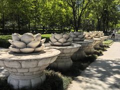 -木塔寺遗址生态公园