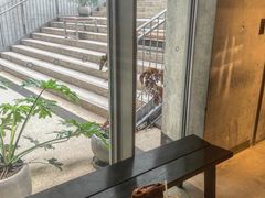 -茑屋书店(天目里店)