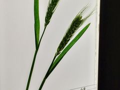 -济南植物园