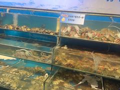 -仙螺岛海鲜自助餐厅(总店)