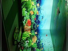 -海洋之星休闲汗蒸浴场