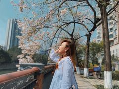 -成都市活水公园
