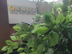 -华夏良子·足道SPA艾灸(王府井店)
