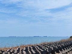 -上海滨江森林公园