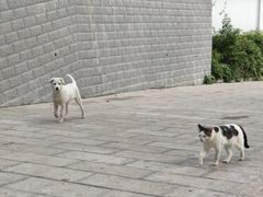 -敬亭山风景名胜区