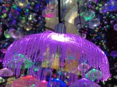 -梵高星空艺术馆(北京旗舰店)