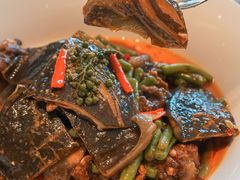 姜汁甲鱼-临江宴(陆家嘴店)